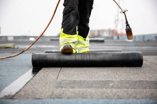 Best Roof Moss and Algae Removal  in Hunter, OH