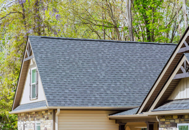 Professional Roofing in Hunter, OH