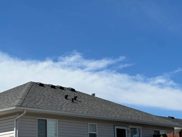 Best Roof Coating and Sealing  in Hunter, OH